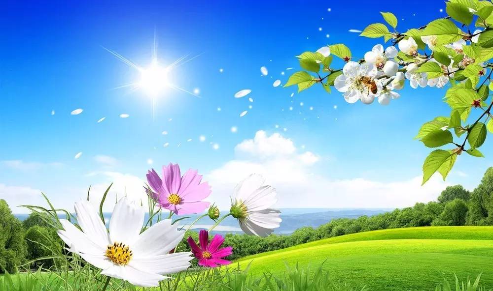 02dc0fb5b3b340c58c5c334183e7a77c.jpg 02dc0fb5b3b340c58c5c334183e7a77c.jpg