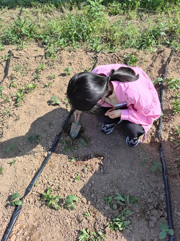 3a047fb9f5a54f17b052d13c417c068b.jpg 3a047fb9f5a54f17b052d13c417c068b.jpg