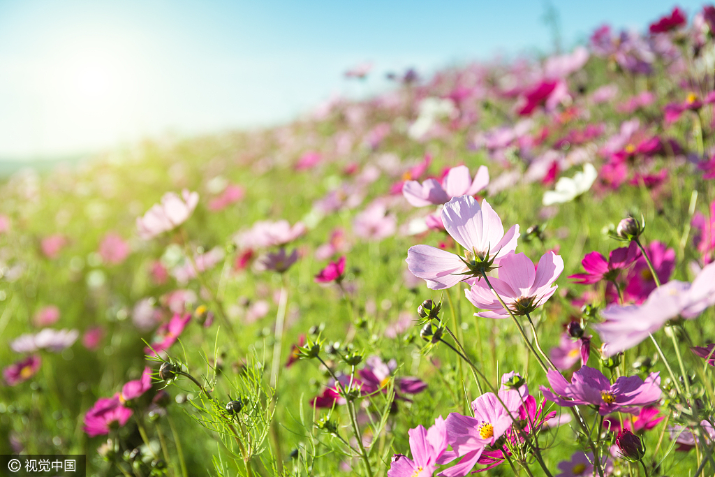 1b131a5cdd5c4f35a2e095f1d035f11d.jpg 1b131a5cdd5c4f35a2e095f1d035f11d.jpg