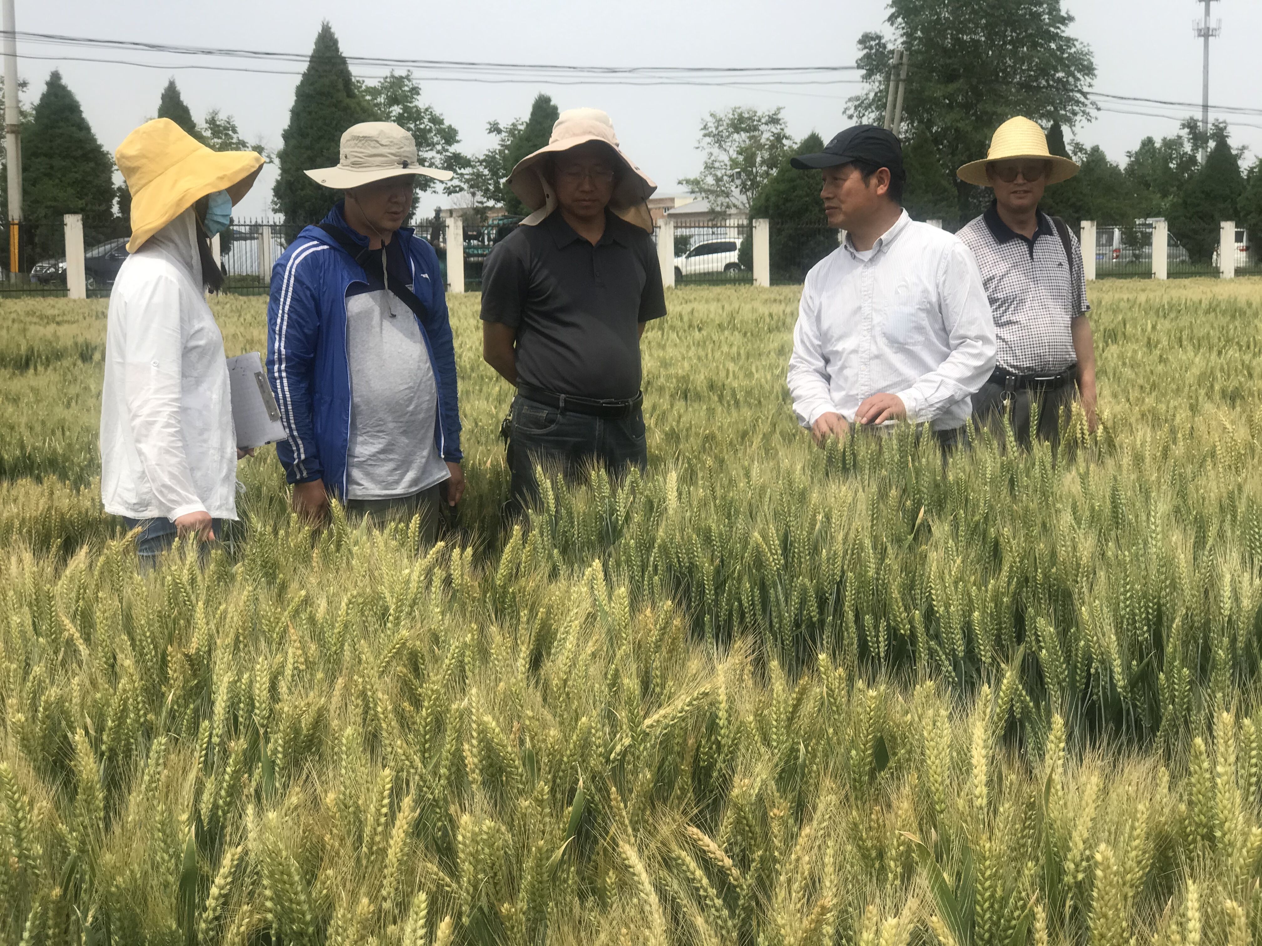 a765ac6e93cc43cb8310f9bde4d7680a.jpg a765ac6e93cc43cb8310f9bde4d7680a.jpg