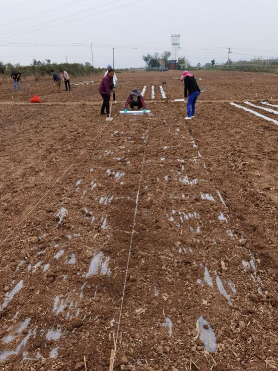 ac0a252354e24fabac63ec9f180f2be7.png ac0a252354e24fabac63ec9f180f2be7.png