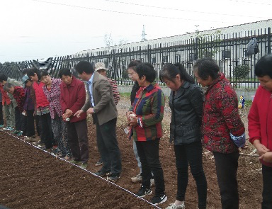 7537a793c65b499da7f16eab29832f50.png 7537a793c65b499da7f16eab29832f50.png