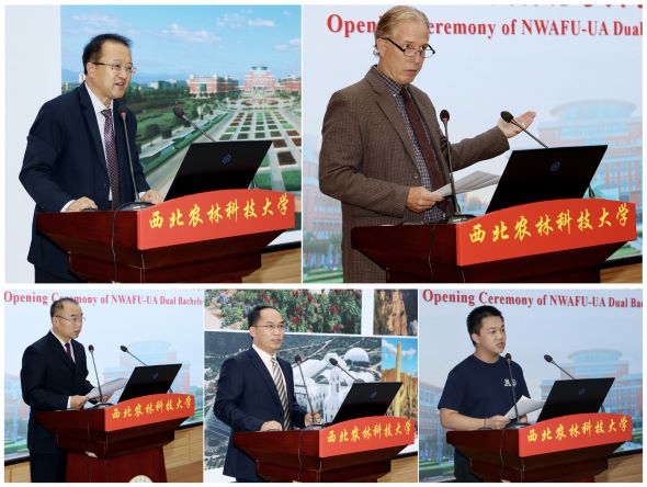 76f1ea79249640b29c8b73949a60566f.jpg 发言合辑.jpg