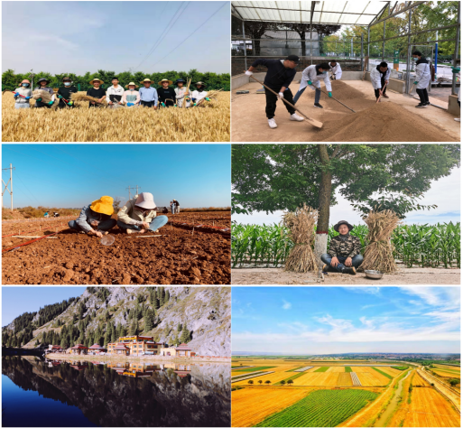 fe6ca4531e9c4f7e9d1f0b85e4feafdb.png 图片.png