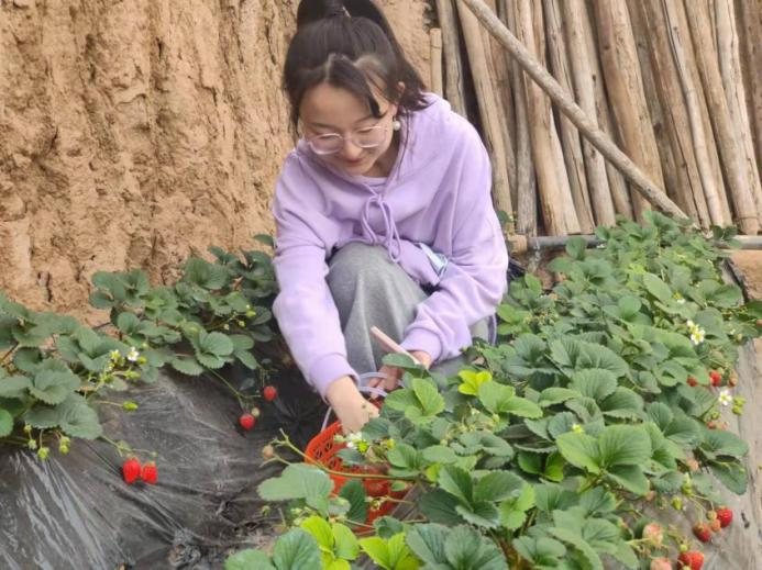 b8066f23864549fc8a77d80125f75930.png b8066f23864549fc8a77d80125f75930.png